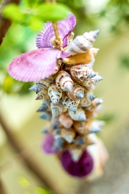 Appartamento Chryssi Myhome Kato Daratso