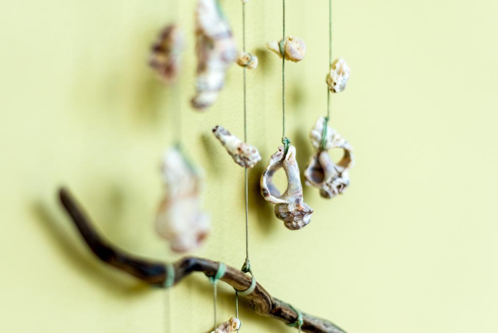 Appartamento Chryssi Myhome